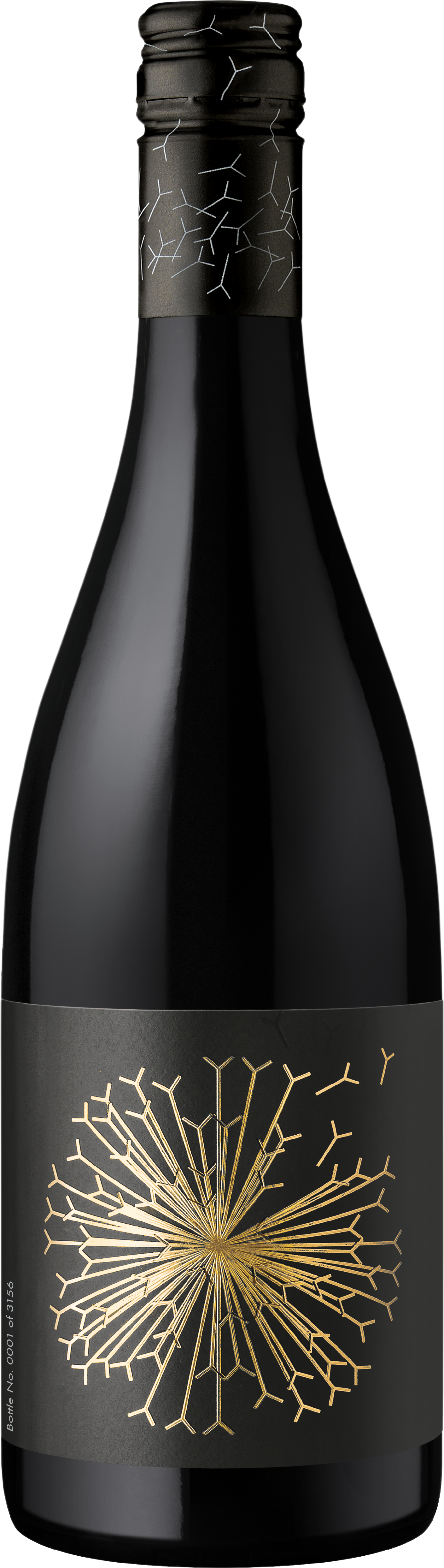 Dandelion Vineyards Moonrise Kingdom McLaren Vale Shiraz Grenache Petite Sirah 2019